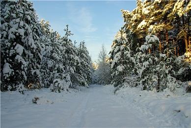 THQ宣布不会参加今年的科隆游戏展